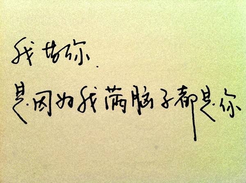 賽爾計劃兌換碼