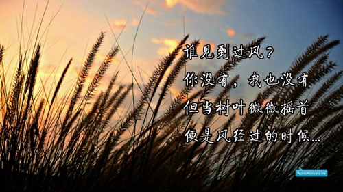 文字腦洞采訪攻略