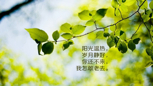 崩壞星穹鐵道實驗助手請就位第七天攻略