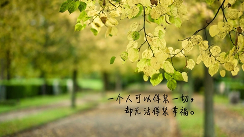 原神3.8版本活動介紹
