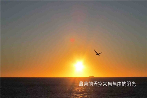 藍色協議日服充值教程