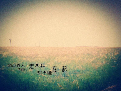完美小姐她又沒(méi)猜到結(jié)局禁忌之藥攻略
