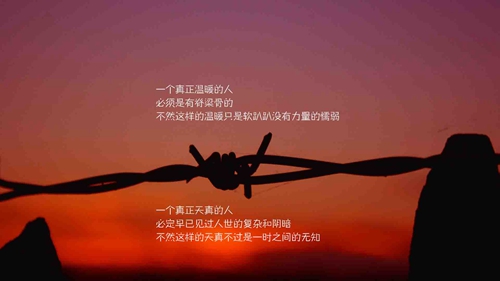 保衛(wèi)蘿卜4波仔很忙12關(guān)攻略
