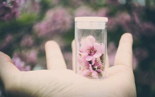 原神芙寧娜分享H5活動
