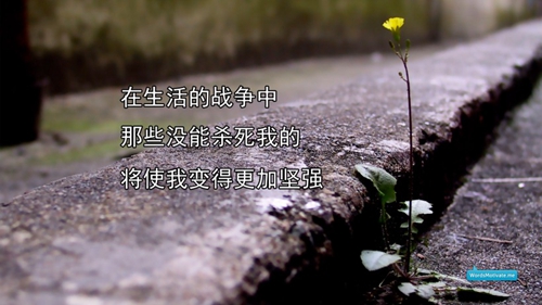 吃雞的網名霸氣