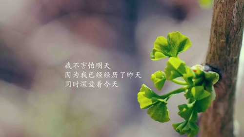公共英語等級考試祝福語