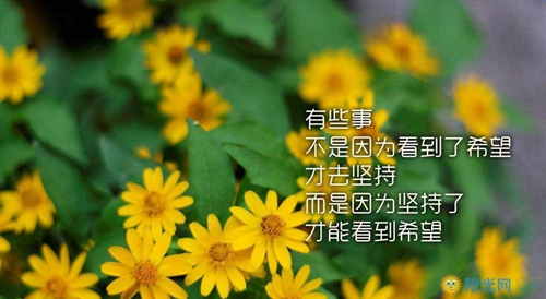 林濃華是哪首歌成名的（小情歌dj音樂蘇打綠）
