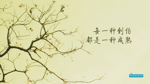 海南的房價現在是多少錢一平方
