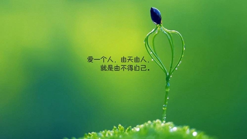 東方萬科開發的新房靠譜嗎