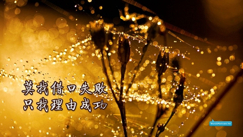 離別總是這樣悲傷的句子