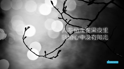 關(guān)于寓言故事的優(yōu)美句子
