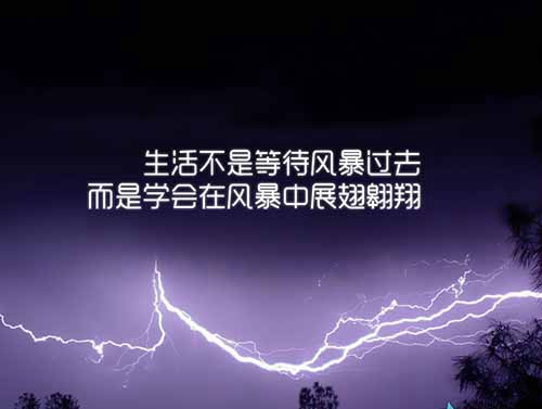 梨花落悲傷的句子