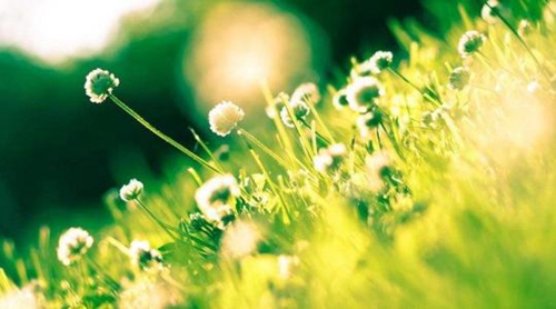 外地人在浙江買房攻略