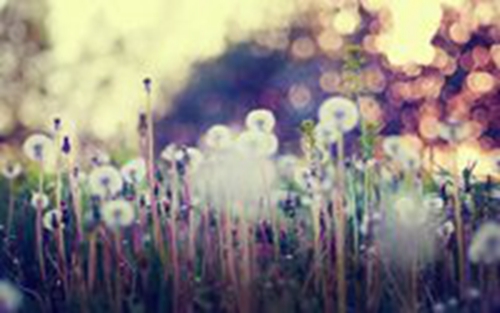 新余未來發(fā)展?jié)摿? title=