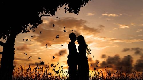 最經(jīng)典的七夕情話花語