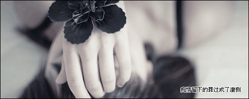 愿你的愛情句子 愿你的愛情句子