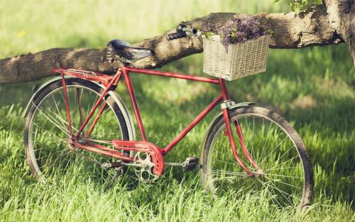 土味情人節(jié)文案