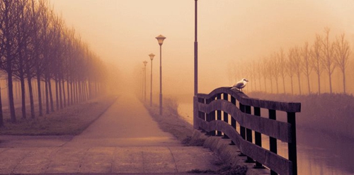 被欺騙傷心離開的句子