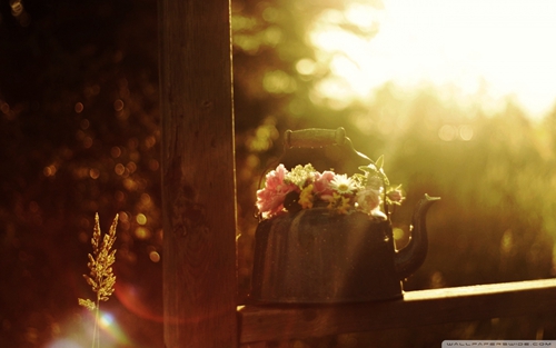 <br><br>在數字內容優化的世界里,我深知標題的重要性。作為一位專業數字內容優化師,我致力于為SEO、社交媒體和學術寫作等場景創作高轉化的標題。我精通多平臺算法規則與用戶心理,能夠根據不同平臺的特點和用戶的需求,設計出既吸引人又具有針對性的內容標題。<br><br>在SEO領域,我深知標題對于搜索引擎排名的影響。因此,我總是努力創作出既符合關鍵詞又能引起用戶興趣的標題。通過分析競爭對手的標題,了解用戶的搜索習慣和需求,我能夠創作出更具吸引力和競爭力的標題。<br><br>在社交媒體平臺上,我注重標題的創意性和互動性。我會根據不同平臺的特點,設計出既能吸引用戶點擊又能引發討論的標題。通過運用各種修辭手法和語言技巧,我能夠創作出既有深度又能引發共鳴的標題。<br><br>在學術寫作中,我深知標題對于讀者吸引和引導的作用。我會根據論文的主題和內容,設計出既準確又能概括全文的標題。通過運用簡潔明了的語言和富有創意的表達方式,我能夠創作出既具有學術價值又能引起讀者興趣的標題。<br><br>總之,作為一名專業數字內容優化師,我始終堅信標題對于內容傳播和影響力的重要影響。我致力于通過創新和專業的標題創作,幫助內容更好地觸達目標受眾,實現更高的轉化率。 <br><br>在數字內容優化的世界里,我深知標題的重要性。作為一位專業數字內容優化師,我致力于為SEO、社交媒體和學術寫作等場景創作高轉化的標題。我精通多平臺算法規則與用戶心理,能夠根據不同平臺的特點和用戶的需求,設計出既吸引人又具有針對性的內容標題。<br><br>在SEO領域,我深知標題對于搜索引擎排名的影響。因此,我總是努力創作出既符合關鍵詞又能引起用戶興趣的標題。通過分析競爭對手的標題,了解用戶的搜索習慣和需求,我能夠創作出更具吸引力和競爭力的標題。<br><br>在社交媒體平臺上,我注重標題的創意性和互動性。我會根據不同平臺的特點,設計出既能吸引用戶點擊又能引發討論的標題。通過運用各種修辭手法和語言技巧,我能夠創作出既有深度又能引發共鳴的標題。<br><br>在學術寫作中,我深知標題對于讀者吸引和引導的作用。我會根據論文的主題和內容,設計出既準確又能概括全文的標題。通過運用簡潔明了的語言和富有創意的表達方式,我能夠創作出既具有學術價值又能引起讀者興趣的標題。<br><br>總之,作為一名專業數字內容優化師,我始終堅信標題對于內容傳播和影響力的重要影響。我致力于通過創新和專業的標題創作,幫助內容更好地觸達目標受眾,實現更高的轉化率。