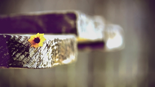 《如何通過量化信息提高決策效率和可信度》 《如何通過量化信息提高決策效率和可信度》