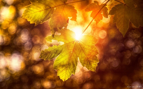 《提升決策效率：如何通過量化信息增強信任度》