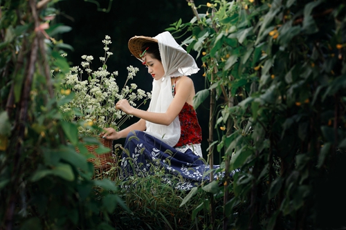 《如何有效提高網站SEO排名：全面指南》