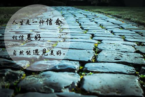 《如何有效提高網(wǎng)站轉(zhuǎn)化率：SEO優(yōu)化策略全解析》