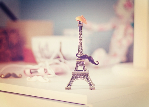 《探索知識之海：智慧之旅》