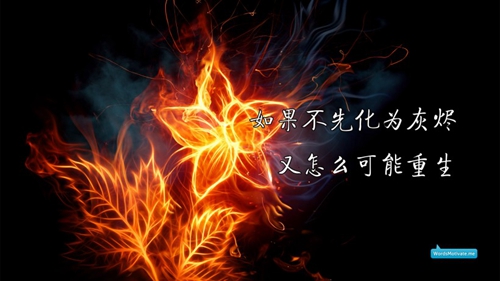 創新與可持續性：探索綠色科技的未來趨勢