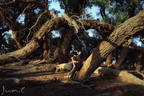 為了給您提供滿足需求的標(biāo)題,我需要更多的信息。您希望標(biāo)題包含什么內(nèi)容?是關(guān)于一個產(chǎn)品、服務(wù)、事件、文章還是其他類型的主題?請?zhí)峁└嗉?xì)節(jié),例如主題或目標(biāo)受眾,這樣我就可以更好地幫助您創(chuàng)建一個吸引人的標(biāo)題。 為了給您提供滿足需求的標(biāo)題,我需要更多的信息。您希望標(biāo)題包含什么內(nèi)容?是關(guān)于一個產(chǎn)品、服務(wù)、事件、文章還是其他類型的主題?請?zhí)峁└嗉?xì)節(jié),例如主題或目標(biāo)受眾,這樣我就可以更好地幫助您創(chuàng)建一個吸引人的標(biāo)題。