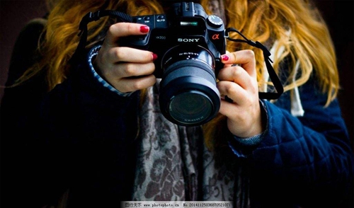 《揭秘：如何通過SEO優化提升網站流量與用戶參與度？》