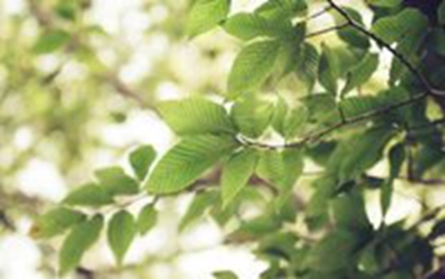 小學(xué)生男生起什么網(wǎng)名好大全（最火10個）