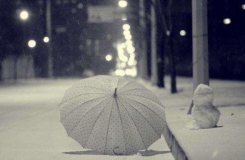 春意盎然，如詩如畫——感受大自然的溫柔擁抱