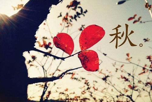 2021抖音火爆昵稱3個字（吃雞洋氣的名字）