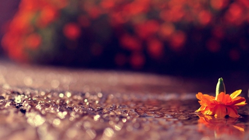 也會的說說（形容也會的句子說說）