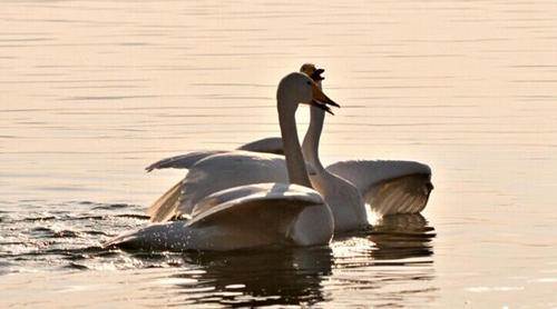 傷感又搞笑:2025年最讓人心酸又捧腹的幽默語錄 傷感又搞笑:2025年最讓人心酸又捧腹的幽默語錄