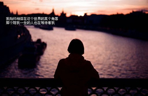 蘭花盛開，獨步天下