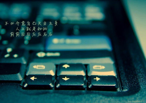 新年的經典說說（分手了不會再談戀愛的句子）